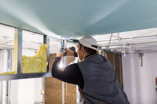 Trusted Massanetta Springs, VA Insulation Experts